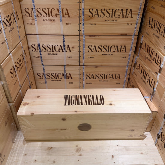 Tignanello 2023 Mathusalem