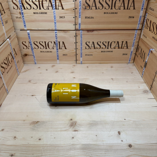 Timorasso Derthona 2024 Monlià - Oddero