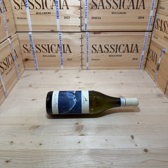 Valentine 2024 Langhe Chardonnay Ca' del Baio