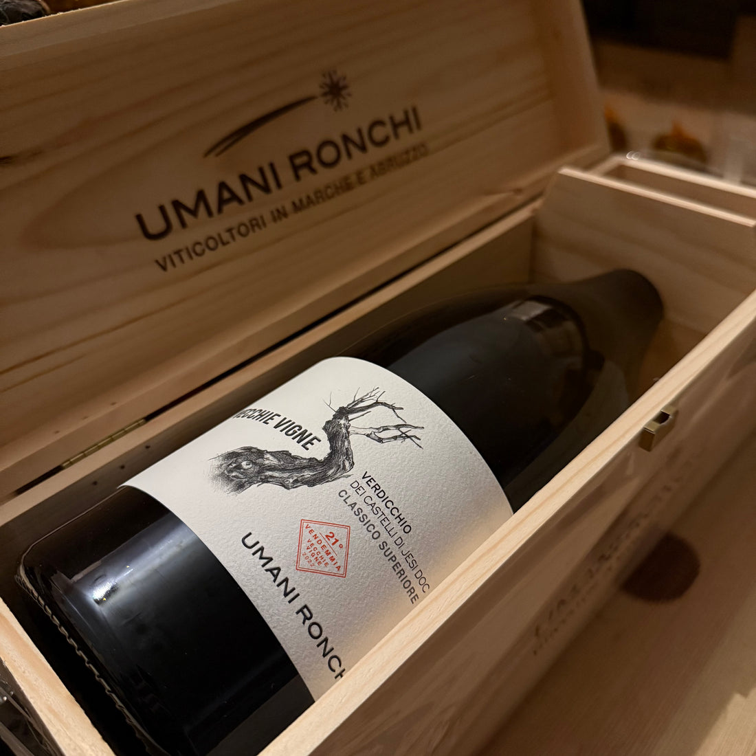 Vecchie Vigne 2022 Magnum Umani Ronchi Verdicchio dei Castelli di Jesi DOC Classico Superiore