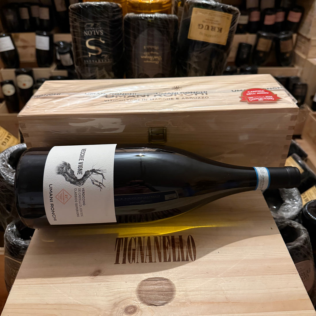 Vecchie Vigne 2022 Magnum Umani Ronchi Verdicchio dei Castelli di Jesi DOC Classico Superiore