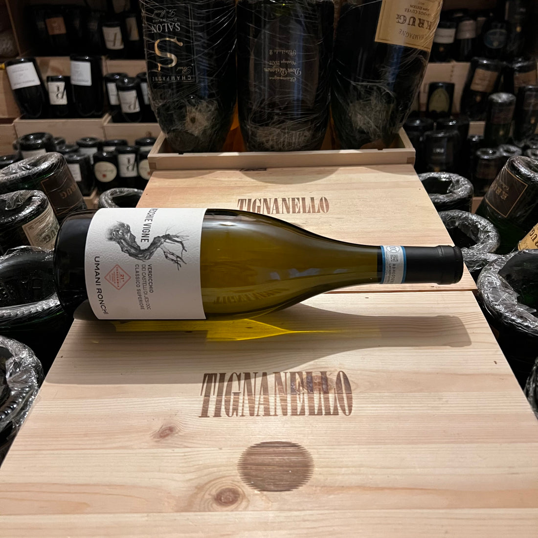 Vecchie Vigne 2022 Umani Ronchi Verdicchio dei Castelli di Jesi DOC Classico Superiore