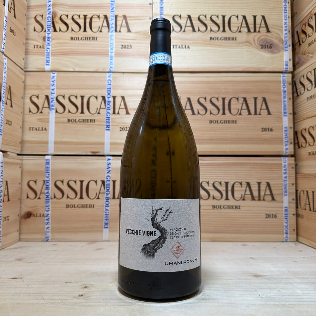 Vecchie Vigne 2024 Magnum Umani Ronchi