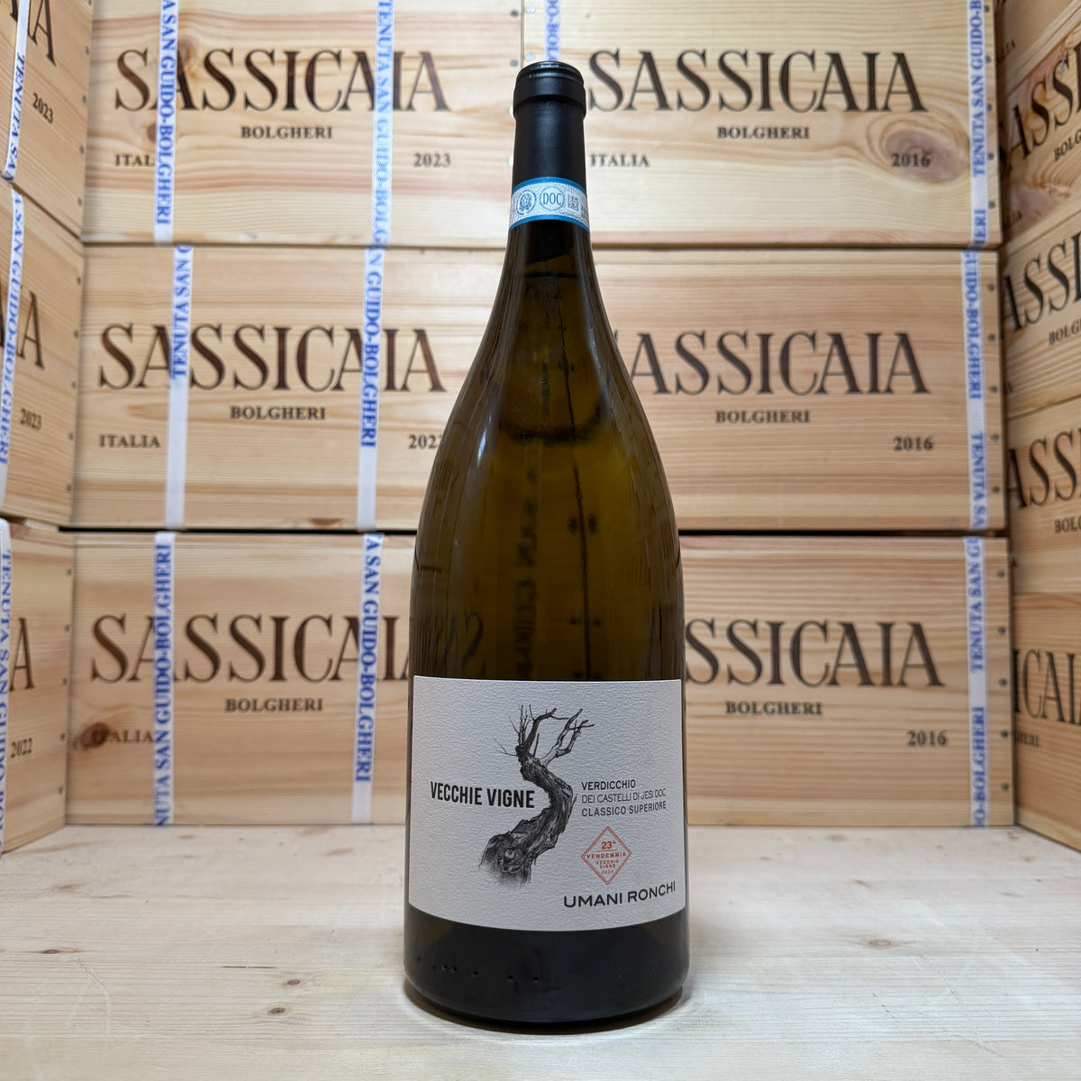 Vecchie Vigne 2024 Magnum Umani Ronchi
