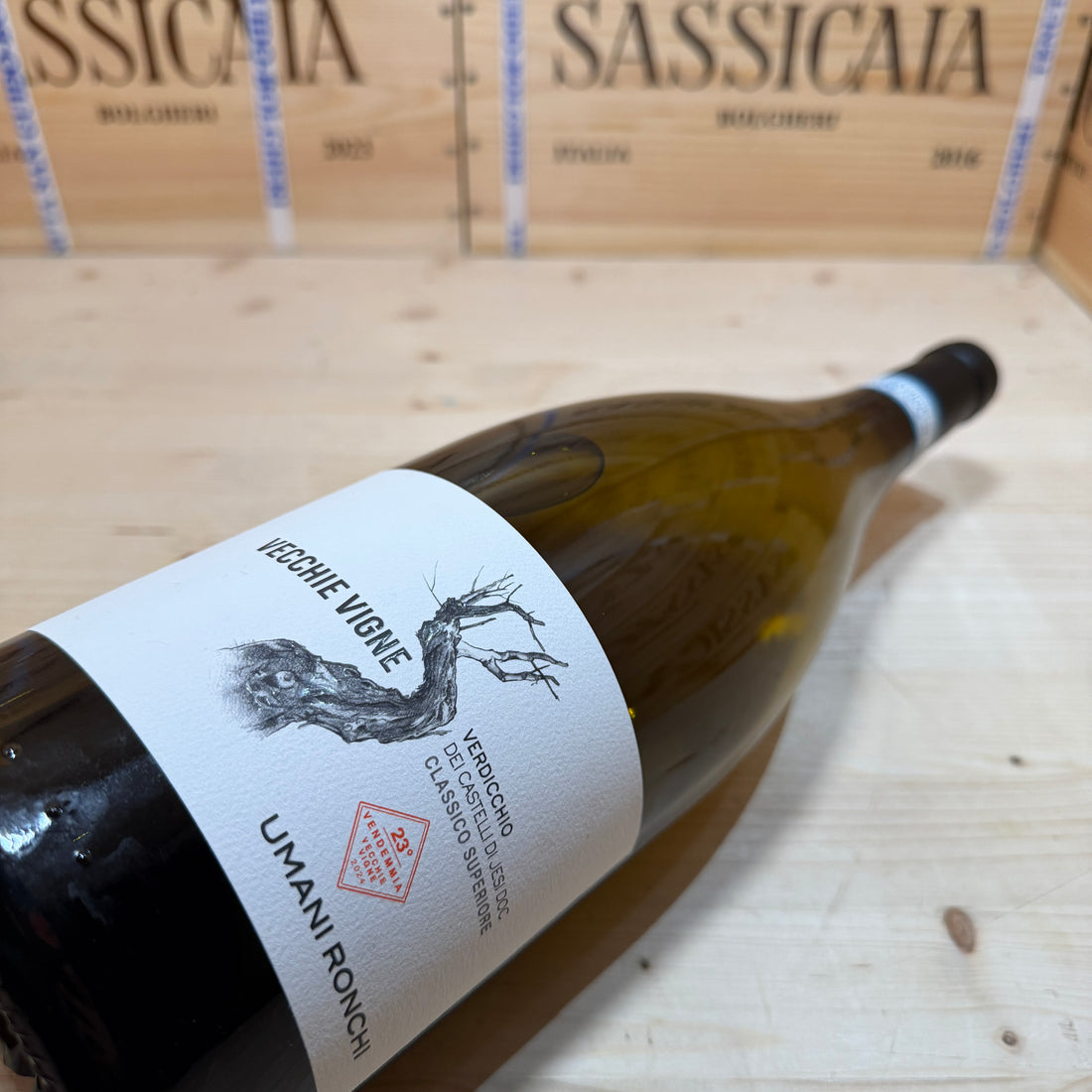 Vecchie Vigne 2024 Magnum Umani Ronchi