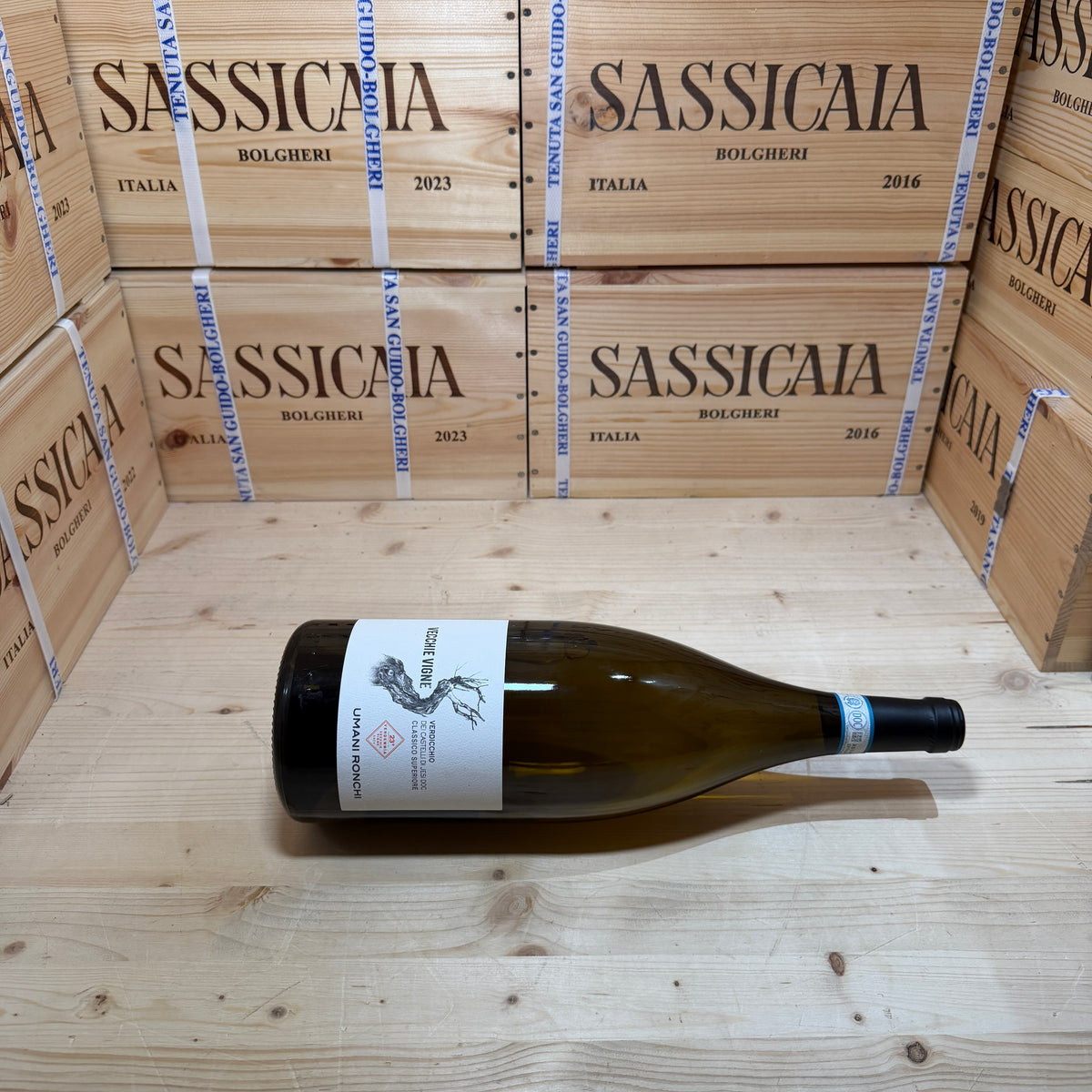 Vecchie Vigne 2024 Magnum Umani Ronchi