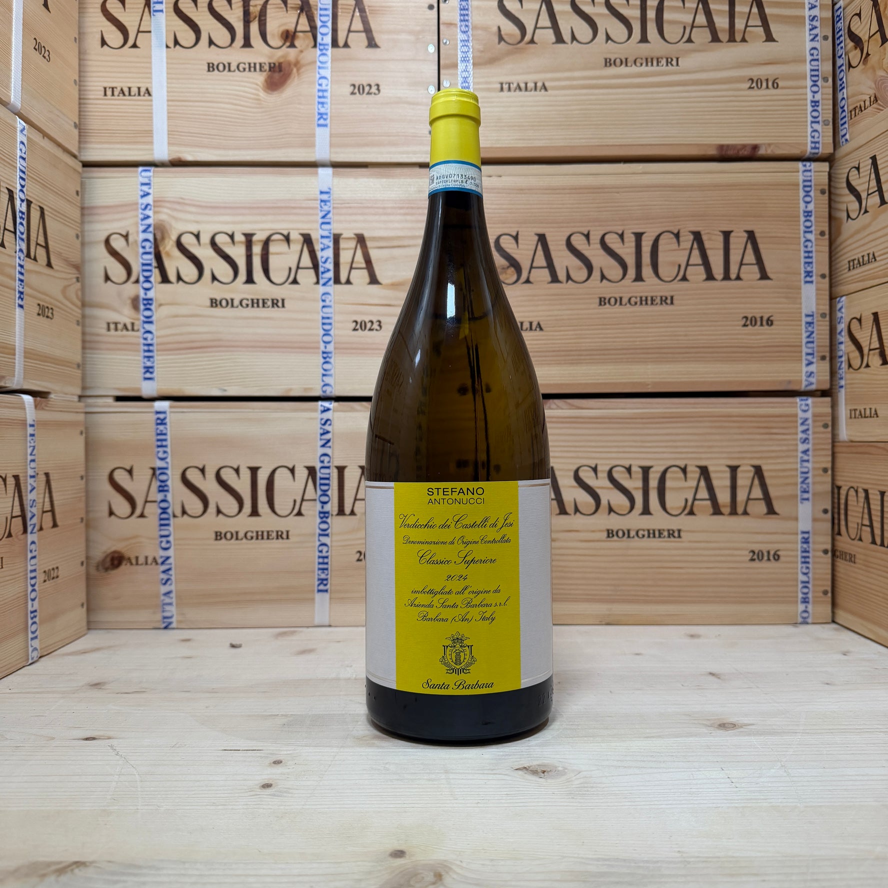 Verdicchio Stefano Antonucci 2024 Magnum