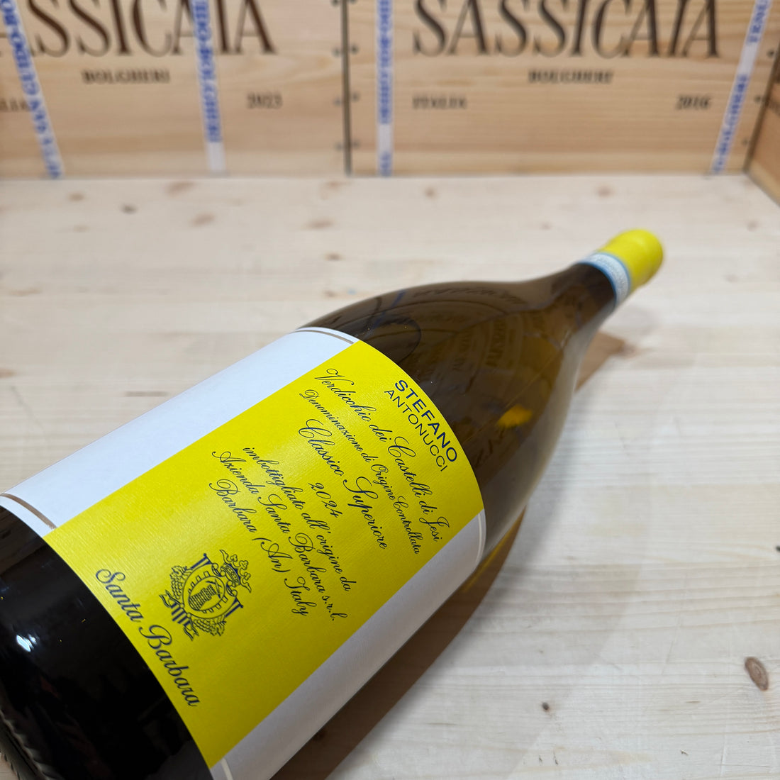Verdicchio Stefano Antonucci 2024 Magnum