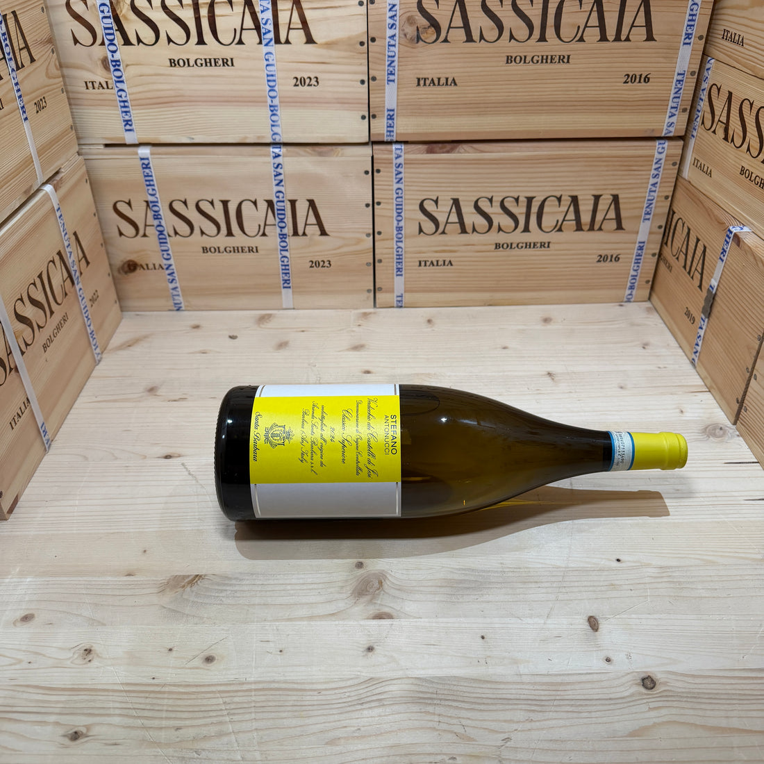 Verdicchio Stefano Antonucci 2024 Magnum