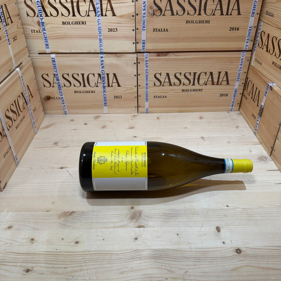 Verdicchio Stefano Antonucci 2024 Magnum