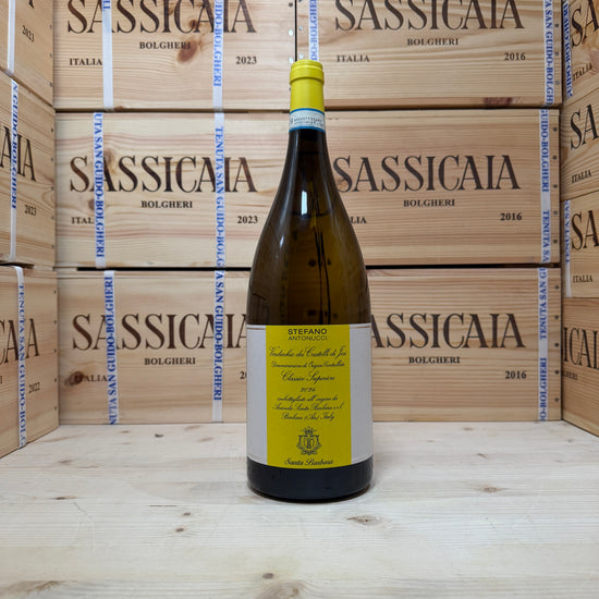 Verdicchio Stefano Antonucci 2024 Magnum