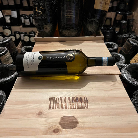 Verdicchio dei Castelli di Jesi DOC Classico Capofila Del Pozzo Buono 2023 Vicari
