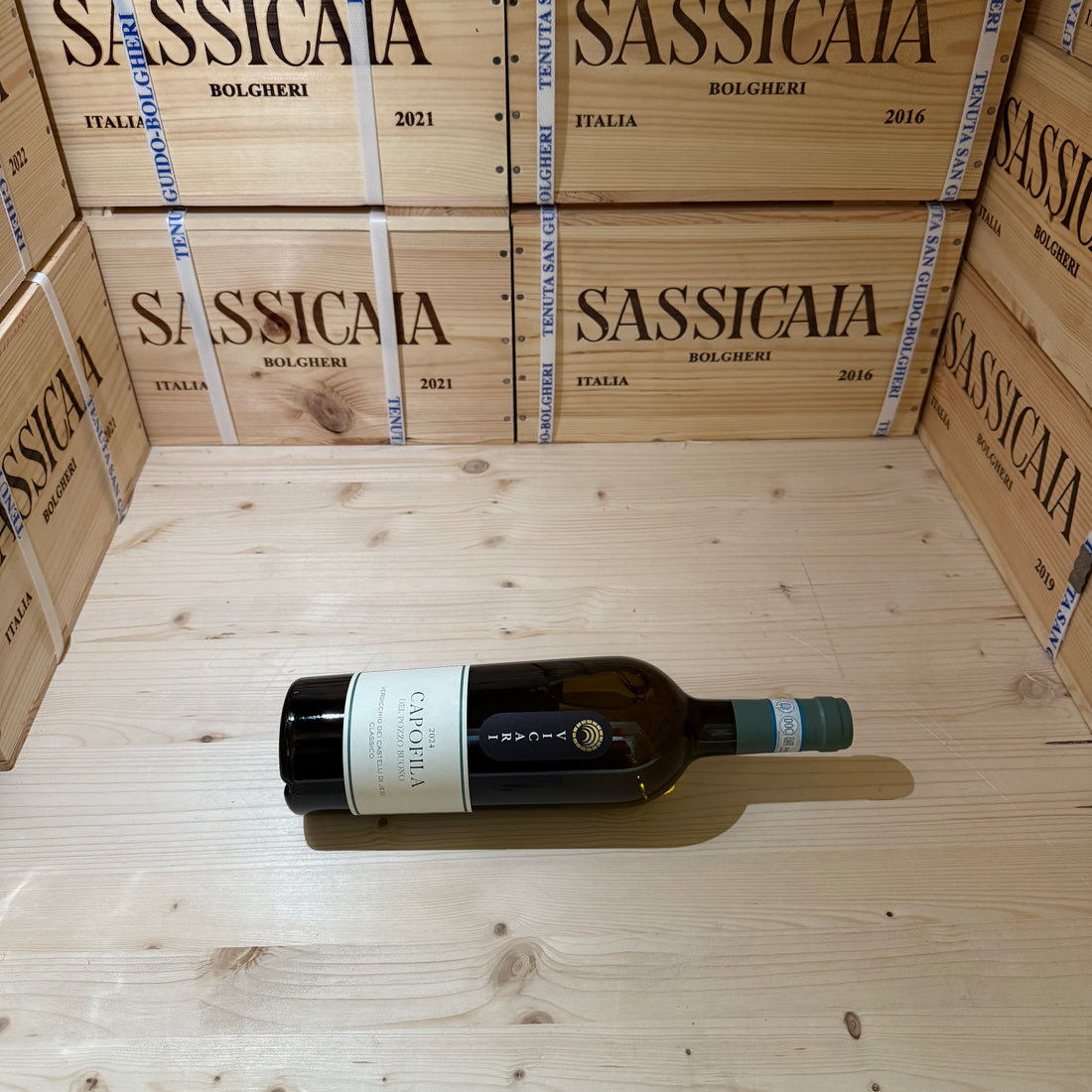 Verdicchio dei Castelli di Jesi DOC Classico Capofila Del Pozzo Buono 2024 Vicari