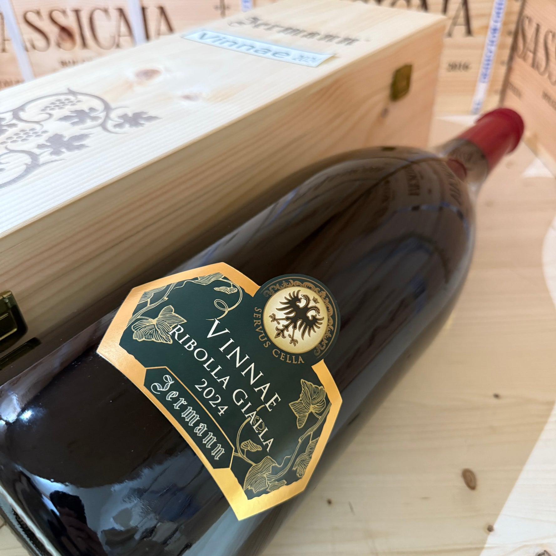 Vinnae Ribolla Gialla Jermann 2024 Jeroboam - in Cassa Legno