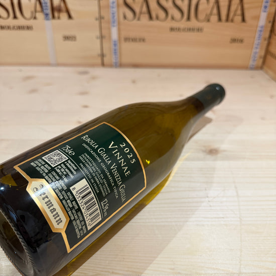Vinnae Ribolla Gialla Jermann 2025