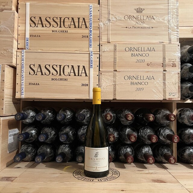 Chardonnay 2019 Bramito della Sala Castello della Sala - Marchesi Antinori
