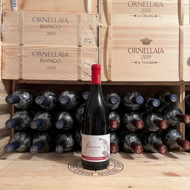 Blauburgunder Pinot Nero 2017 DOC Falkenstein