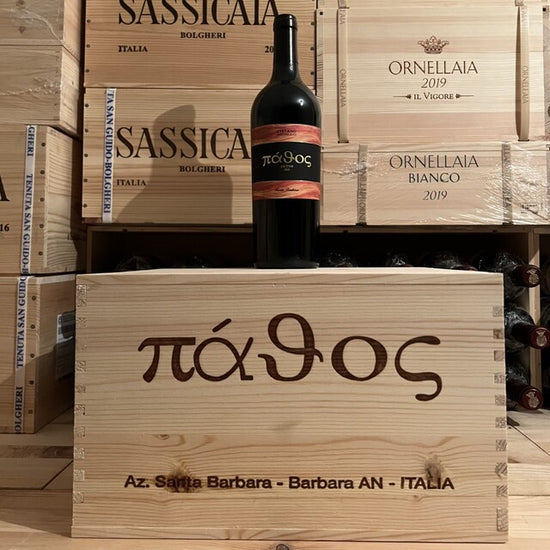 Pathos 2020 Marche Rosso IGT Santa Barbara Cassa Legno 6 Bottiglie