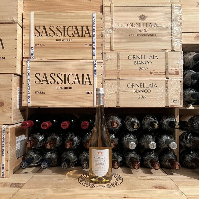 Scabrezza 2022 Pinot Grigio Toscana IGT Tenuta Monteloro - Marchesi Antinori