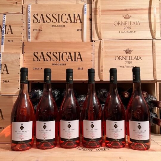 Scalabrone 2021 Tenuta Guado Al Tasso Marchesi Antinori