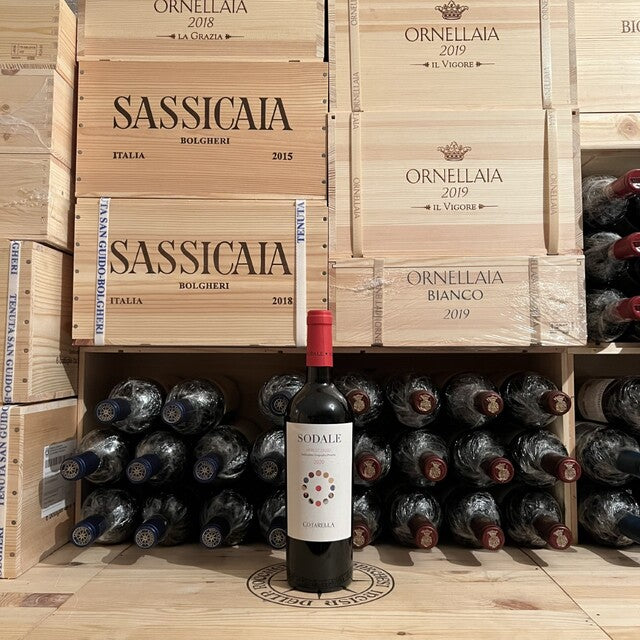 Sodale 2020 Merlot Lazio IGP Famiglia Cotarella