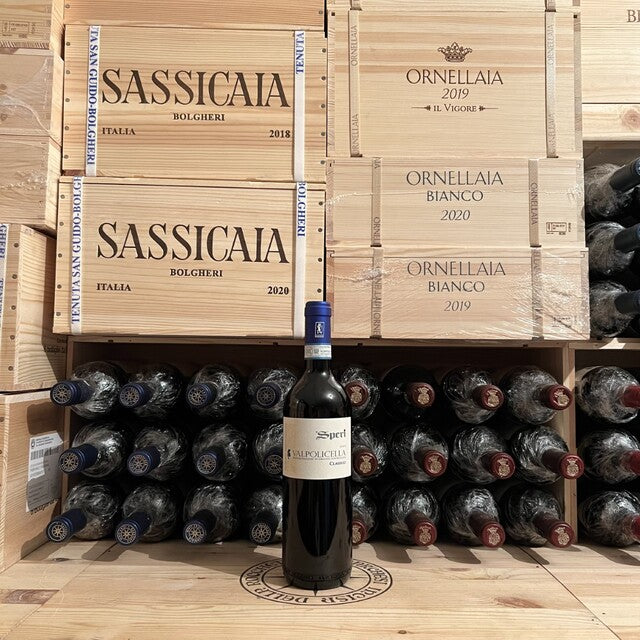 Valpolicella Classico DOC 2022 Speri