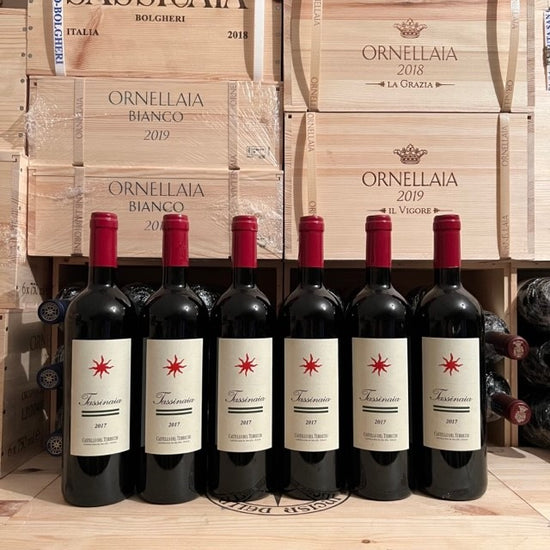 Tassinaia 2017 IGT Toscana Rosso Castello del Terriccio 6 bottiglie